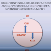 Ի՞նչ է աշխարհագրական լայնությունը