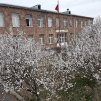 Երևանի հ.107 միջնակարգ դպրոց