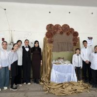 «Շոկոլադի ազդեցությունը օրգանիզմի վրա»