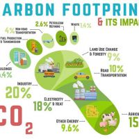 Ուսումնական նախագիծ «Էներգիան և ածխածնային հետքը»