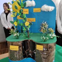 Ուսումնական նախագծեր