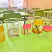 Նախագծային աշխատանք