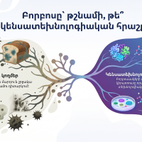 Նախագծային աշխատանք