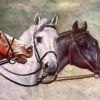 Կենտրոնում  պատկերված  ձին   է, որն  էլ  առաջացնում  է  գլխավոր  կոնֆլիկտը պատմվածքում։ Մյուս ձին Սիմոնի  ձին  է՝ Ցոլակը, իսկ  երրորդ  ձին՝  վայրի  ձին  է, որը  գերադասեց  ազատ  մահ։